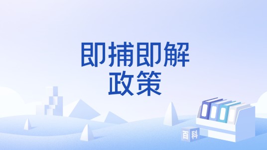 即捕即解政策