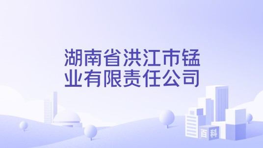 湖南省洪江市锰业有限责任公司