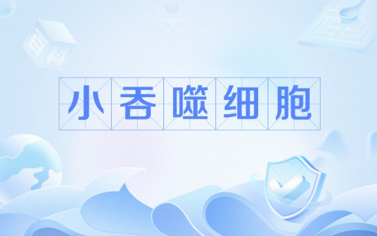 小吞噬细胞