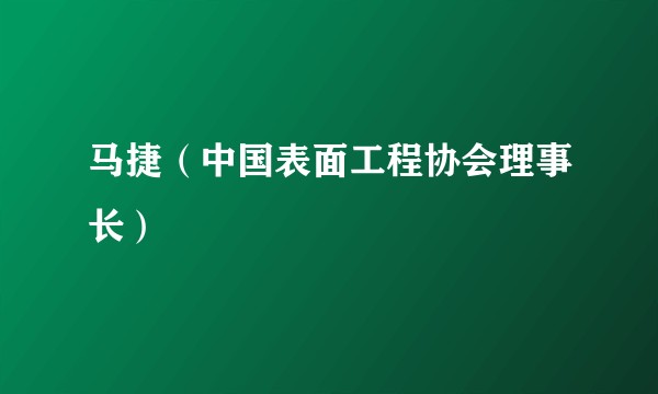 马捷（中国表面工程协会理事长）