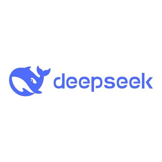 DeepSeek V2.5