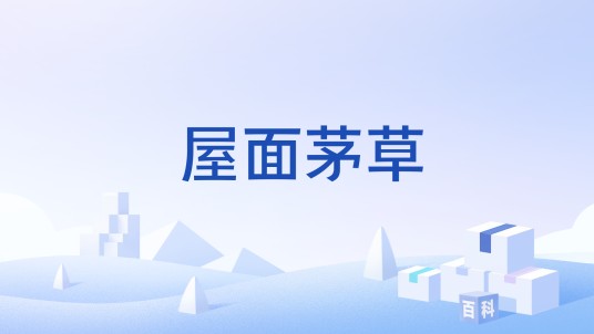 屋面茅草