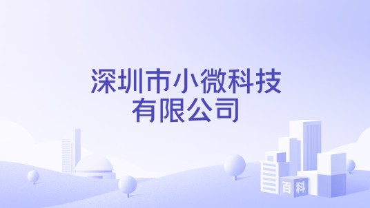 深圳市小微科技有限公司
