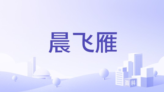 晨飞雁