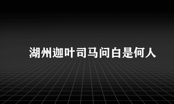 荅湖州迦叶司马问白是何人