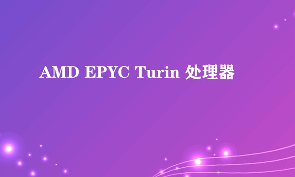 AMD EPYC Turin 处理器