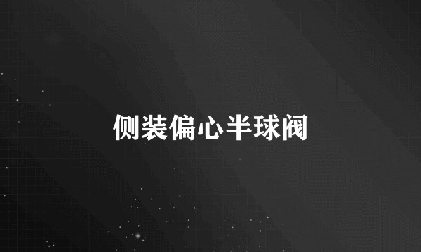 侧装偏心半球阀