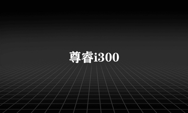 尊睿i300