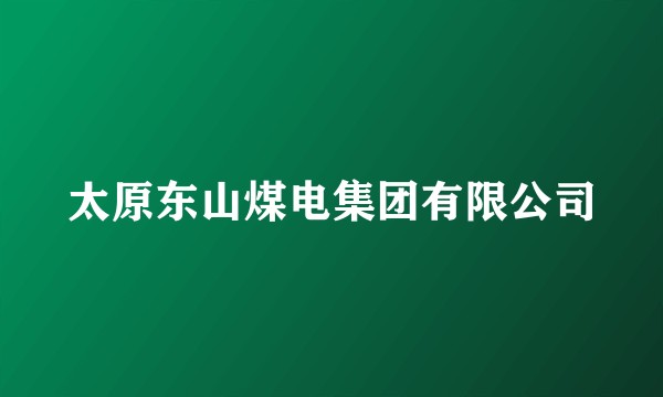 太原东山煤电集团有限公司