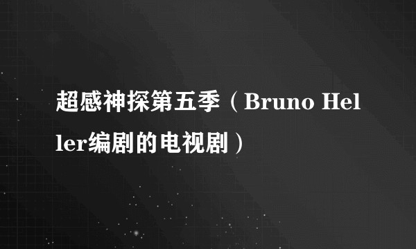 超感神探第五季（Bruno Heller编剧的电视剧）