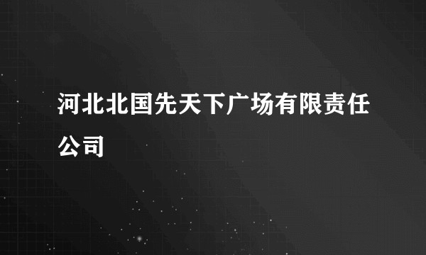 河北北国先天下广场有限责任公司