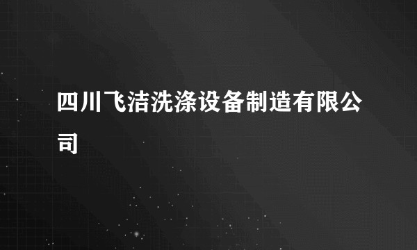 四川飞洁洗涤设备制造有限公司