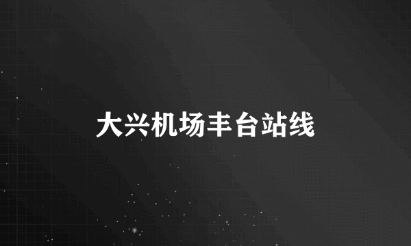 大兴机场丰台站线