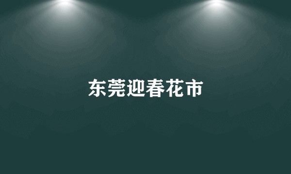 东莞迎春花市