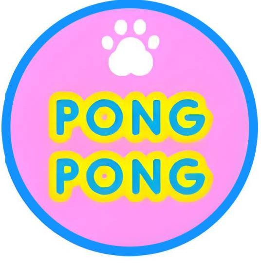 怦怦PONGPONG
