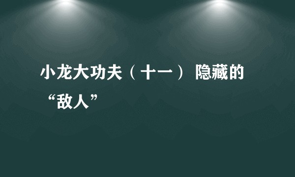 小龙大功夫（十一） 隐藏的“敌人”