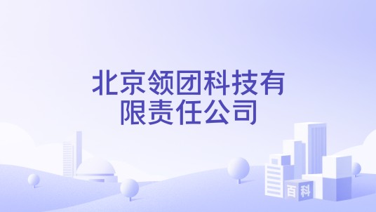 北京领团科技有限责任公司