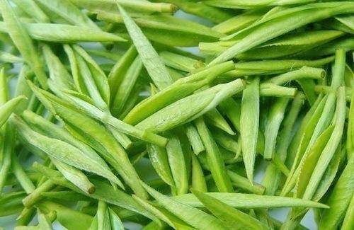 无公害食品：茶叶生产技术规程
