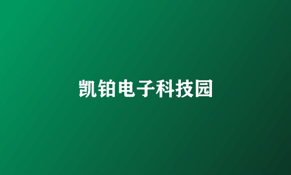 凯铂电子科技园