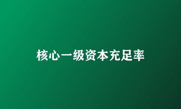 核心一级资本充足率