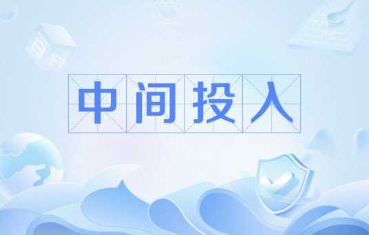 中间投入