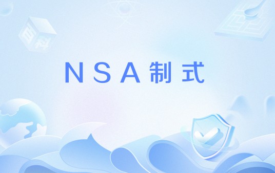 NSA制式
