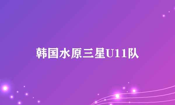 韩国水原三星U11队