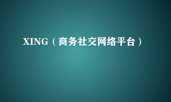XING(商务社交网络平台)