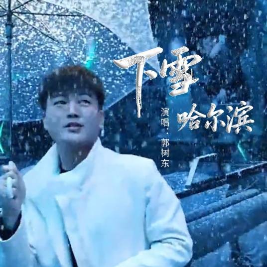 下雪哈尔滨（郭树东演唱的歌曲）
