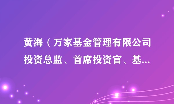 黄海(万家基金管理有限公司投资总监、首席投资官、基金经理)