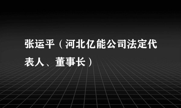 张运平（河北亿能公司法定代表人、董事长）