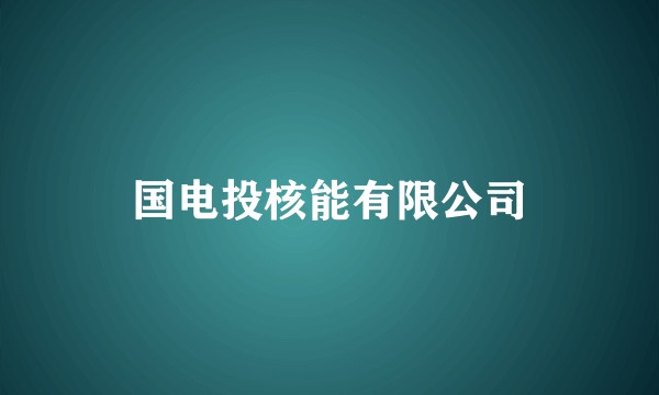 国电投核能有限公司
