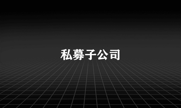 私募子公司