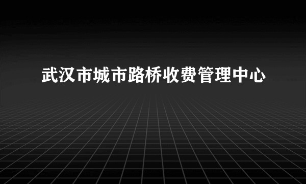 武汉市城市路桥收费管理中心