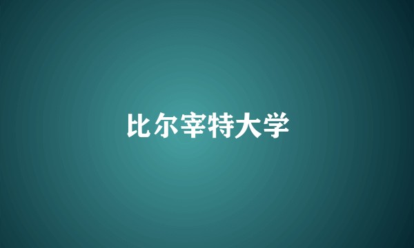 比尔宰特大学