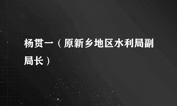 杨贯一(原新乡地区水利局副局长)