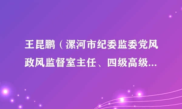 王昆鹏（漯河市纪委监委党风政风监督室主任、四级高级监察官）