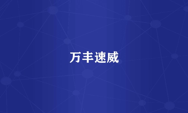 万丰速威