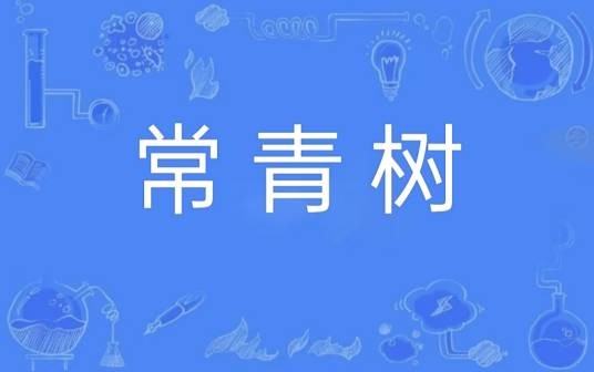 常青树（汉语词汇）