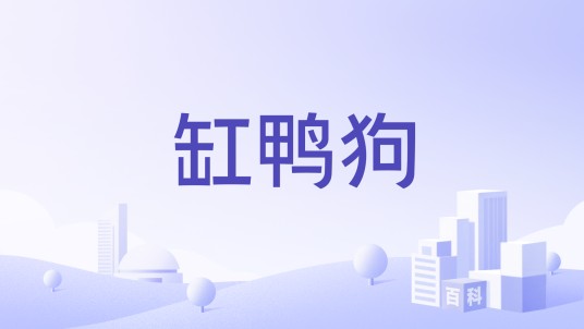 缸鸭狗（中华老字号品牌）
