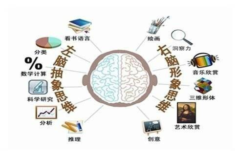 全脑教育