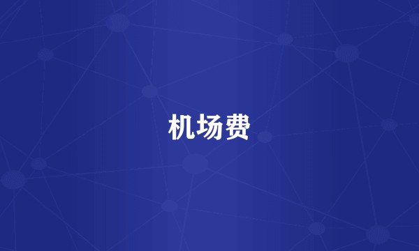 机场费
