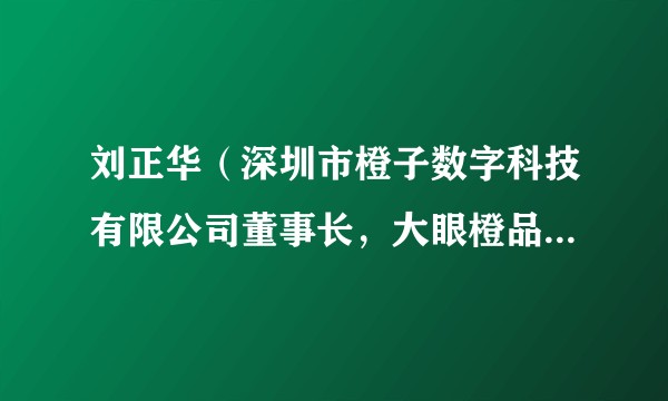 刘正华（深圳市橙子数字科技有限公司董事长，大眼橙品牌创始人）