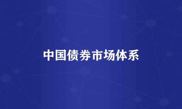 中国债券市场体系
