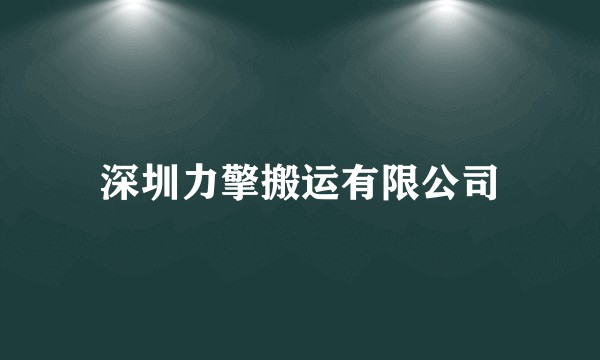 深圳力擎搬运有限公司