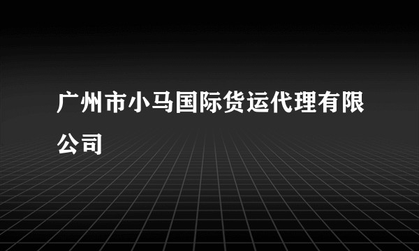 广州市小马国际货运代理有限公司