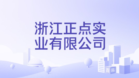 浙江正点实业有限公司