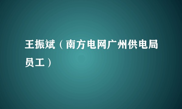 王振斌（南方电网广州供电局员工）