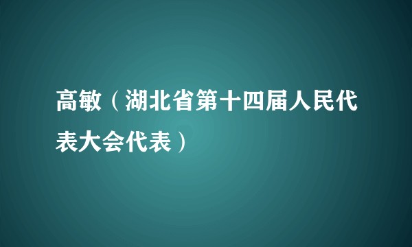 高敏（湖北省第十四届人民代表大会代表）