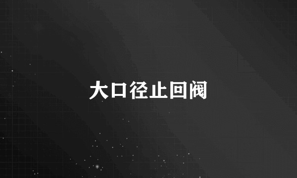 大口径止回阀